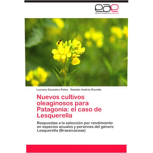 Luciana González-Paleo,Damián Andrés Ravetta Nuevos cultivos oleaginosos para Patagonia: el caso de Lesquerella: Respuestas a la selección por rendimiento en especies anuales y perennes del género Lesquerella (Brassicaceae) (Spanish Edition)