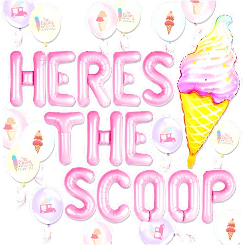 BACH AND BOOZY Here's The Scoop Summer Ice Cream Gender Reveal Decorations for Girls Ice Cream Banner Photography Background Whats the Scoop Party Supplies
