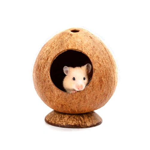 Andwe Coconut Hut Hamster House Bed for Gerbils Mice Small Animal Cage Habitat Decor