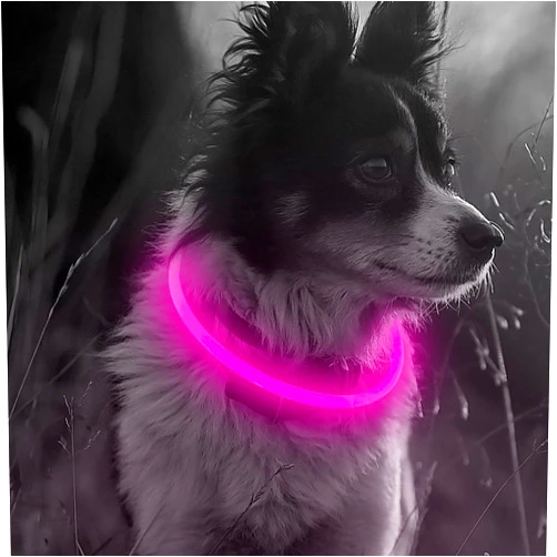 Illumifun LED Dog Collar, Christmas Light Up Dog Collars, Illuminated Dog Collar Light for Night Walking (Candy Pink)