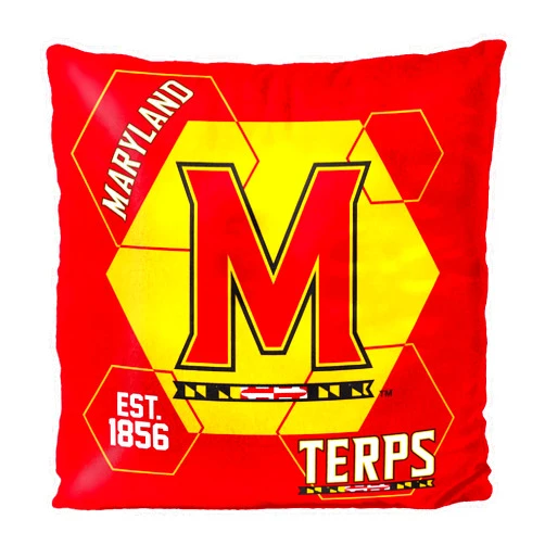 Northwest Connector Velvet Pillow