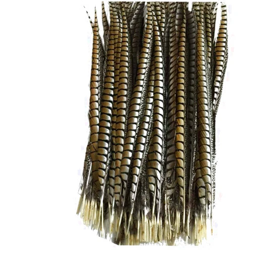 ADAMAI Natural Dyed 30-35cm Pheasant Tail Feather Hats Clothes Party Festival Costume Decoration Pack of 10 (Natural)