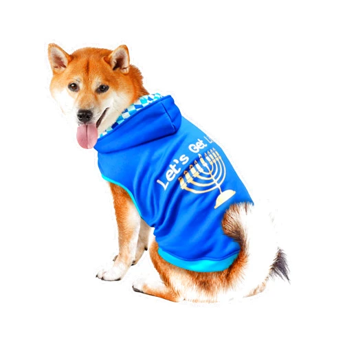 BEST FURRY FRIENDS Hoodie for Dogs, Get Lit, Large