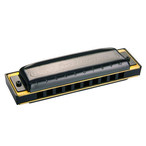Hohner Harmonica, Black (M564116X)