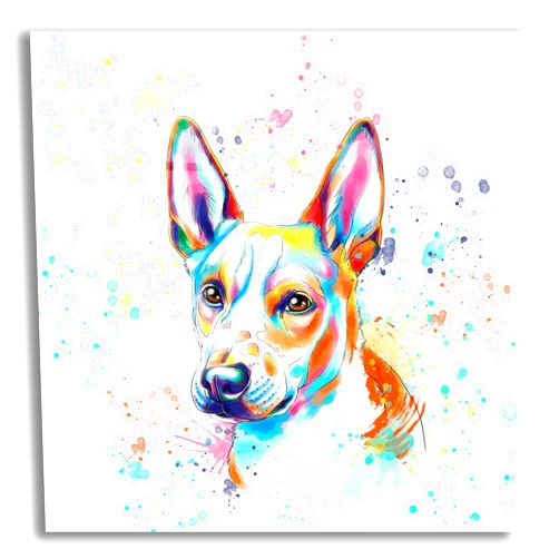 Epic Art 'Colorful Watercolor Basenji' by Furbaby Affiliates, Acrylic Glass Wall Art, 12