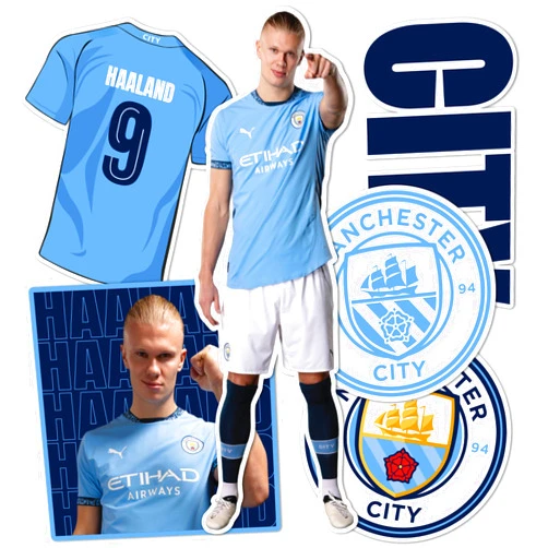 Desert Cactus Manchester City Stickers Man City Player MCFC Sheet Vinyl Football Soccer Premier League Decal Laptop Water Bottle Car Scrapbook (Type P2 Erling Haaland)