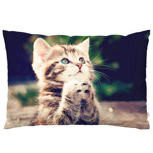 EKOBLA Throw Pillow Cover Cat Animal Kitty Little Cute Kitten Funny Lovely Pet Blue Brown Big Eyes Fashion Decor Lumbar Pillow Case Cushion for Sofa Couch Bed Standard Queen Size 20x30 Inch