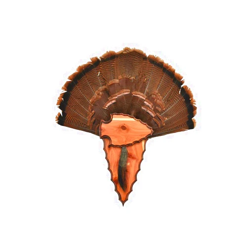 Whitetail Woodcrafters Arrowhead 2 Piece Turkey Plaque- Standard Hardwood
