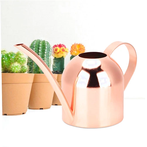 Yosoo Plant Watering Can, 500ml Stainless Steel Watering Can Long Mouth Sprinkling Pot for Outdoor and Indoor House Plants (1)