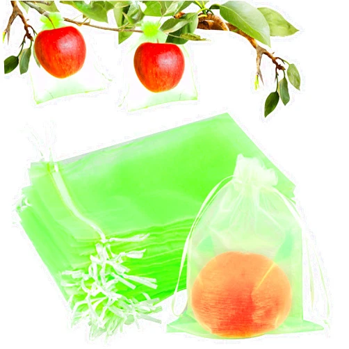 Fulasiteu 50 Pcs Fruit Protection Bags 6''x8'' Fruit Net Bags with Drawstring Fruit Bags for Fruit, Fruit Protection Bags Vegetable Fruit Net Fruit Cover Mesh Bag for Protecting Fruits(Fruit Green,6 x 8 Inch)