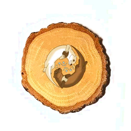 Hat Shark Yin Yang Otters - 3D Color Printed Wooden Rustic Log Magnet