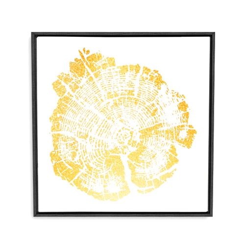 SIGNFORD Framed Canvas Home Artwork Decoration Annual Ring Canvas Wall Art for Living Room, Bedroom - 16x16 inches