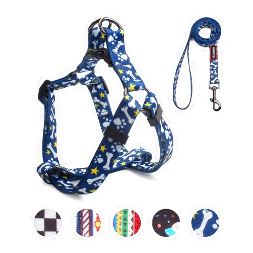 QQPETS Dog Harness Leash Set Adjustable Heavy Duty No Pull Halter Harnesses for Small Medium Large Breed Dogs Back Clip Anti-Twist Perfect for Walking (S(14
