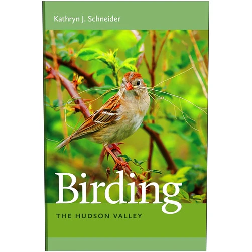 Kathryn J. Schneider Birding the Hudson Valley