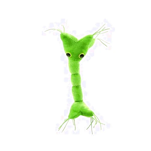 GIANT MICROBES GIANTmicrobes Nerve Cell Plush, Neuron Plush, Neuroscience Gift, Neurology Gifts, Science Plushies, Neuron Model Anatomy, Psychology Gifts, Psychology Decor, Brain Gift, TBI, MS Awareness