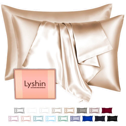 LYSHIN Silk Pillow Cases 2 Pack Standard Size with Hidden Zipper, Mulberry Silk Pillowcase for Hair and Skin, Smooth and Soft Breathable Cooling Silk Satin Pillowcase Set of 2, Gifts for Women，Champagne
