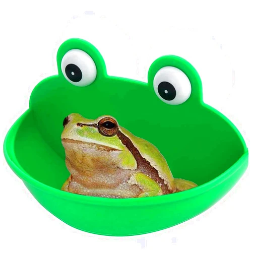 OCHSTIN Amphibian Aquatic Frog Habitat with Suction Cups, Cute Frog Tank Decoration Accessories for Frog/Toad/Gecko/Tadpole/Turtle and Other Small Aquatic Animals (Green)