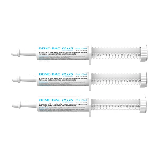 PetAg Bene-Bac Plus Pet Gel - 15 g Syringe, Pack of 3 - FOS & Probiotics for Dogs, Cats, Exotic & Wildlife Mammals