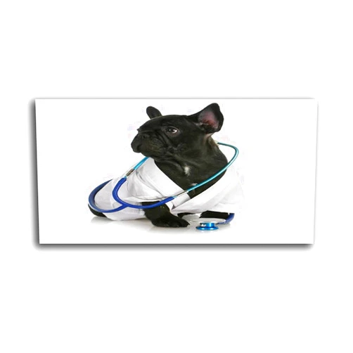 TWSLFFAXDUS Frame Print Photo Paintings Veterinary care on Canvas Wall Art for Home Bedroom Bathroom Living Room Office Decorations Wall Decor Ready to Hang