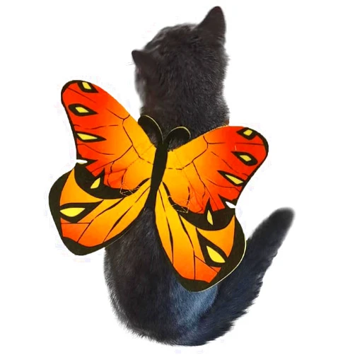 Puoyis Cat Dog Butterfly Costume Wings for Halloween Party Decoration, Halloween Dog Cat Costume, Puppy Cat Dress Up Accessories