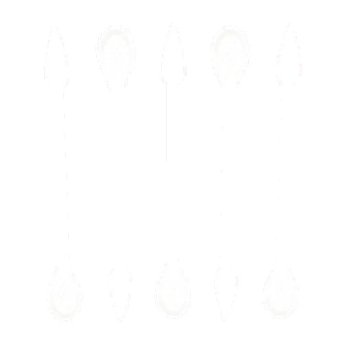 Quanzhou Chenchenchen E-Commerce Co.,Ltd 900pcs Precision Cotton Swabs, Pointed&Flattened Tip Cosmetic Applicators