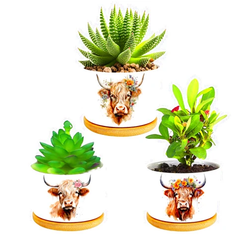 Databa Window Garden Highland Cow Planter Pots,Highland Cow Gifts for Women,Men,Housewarming,Wedding,Festival Birthday,Planter Pots,Outdoors,Indoors,Yard,Home,Office Decor