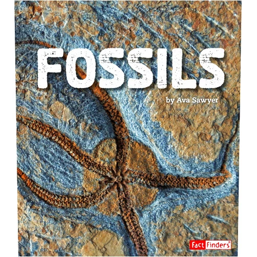 By Ava Sawyer (Author) Fossils (Rocks) (Fact Finders: Rocks)