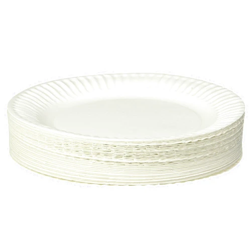 Empress Uncoated Paper Plate, 9 Inches, White, Pack of 100 - 1004997