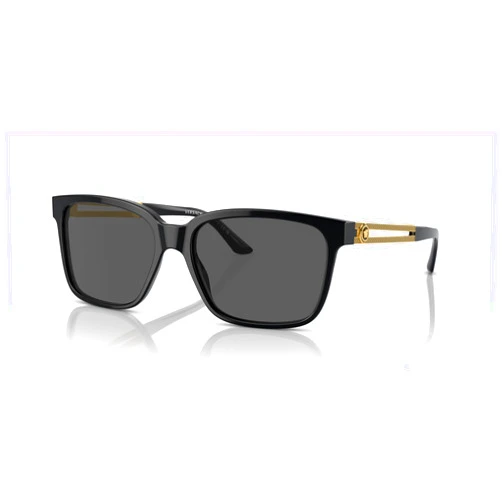 Versace Mens Sunglasses (VE4307) Acetate