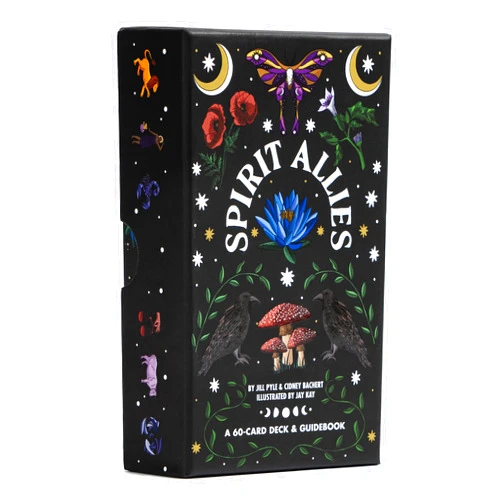 By Jill Pyle (Author), Cidney Bachert (Author), Jay Kay (Illustrator) & 0 more Spirit Allies Oracle: A 60-Card Deck & Guidebook