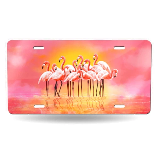 FeHuew Vintage Sunset Pink Flamingos License Plate Front Car Decorative Novelty Auto Plate Car Tag Vanity Gift Metal Aluminum Plate for Women/Man 12x6 inch Wall Decor