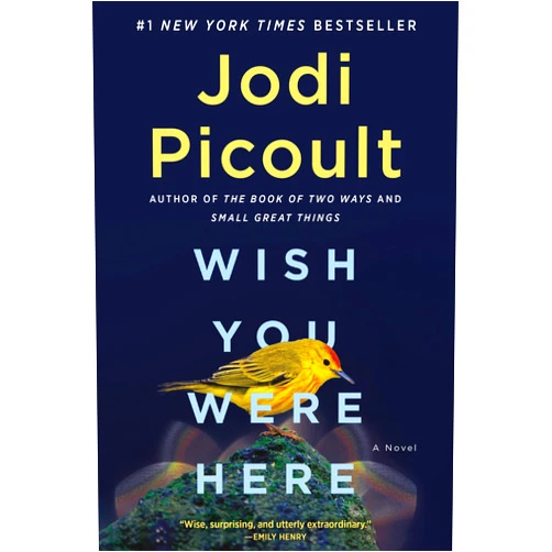 By Jodi Picoult (Author) Wish You Were Here: A Novel