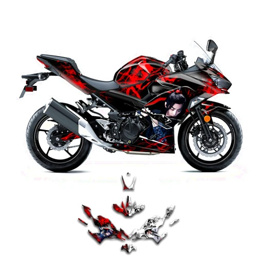 Kungfu Graphics Custom Decal Kit for Kawasaki Ninja 250 ABS 2019 2020, Black Red, KWNJ4A1719005-KO