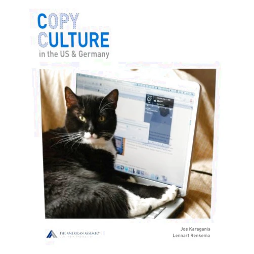 By Joe Karaganis (Author), Lennart Renkema (Author) Copy Culture in the US & Germany