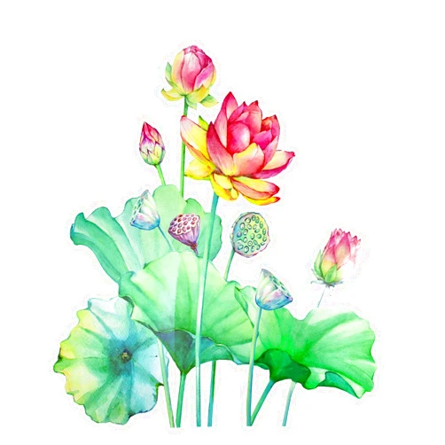 Maydahui Lotus Flowers Wall Sticker Green Leaf Lotus Floral Wall Decals (28x31 Inch) Peel Stick Removable Water Lily Wall Sticker Decor for Living Room Nursery Bedroom Office Bathroom