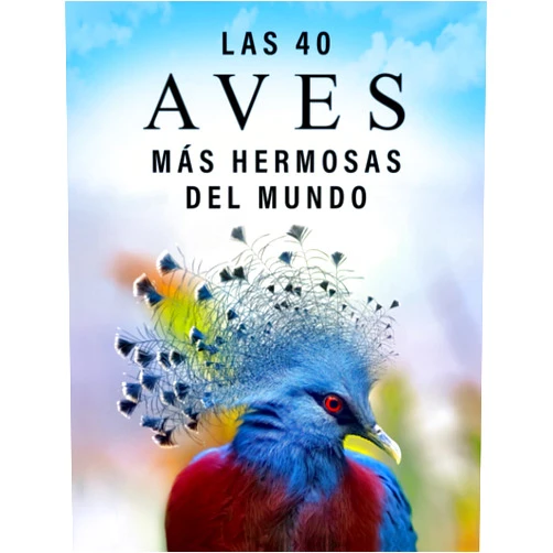 Spanish Edition by Libros de Trébol Azul (Author) Las 40 Aves más Hermosas del Mundo: Un Libro de Fotografías a todo Color para Personas Mayores con Alzheimer o Demencia (La serie de libros ilustrados 