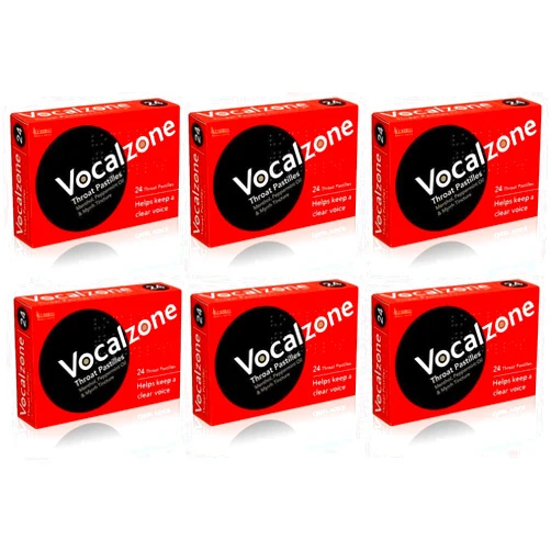 Vocalzone 24 pastilles x 6 Packs by Vocalzones