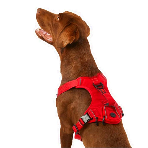 KONG Ultra Durable Waste Bag Harness (Medium, Red)