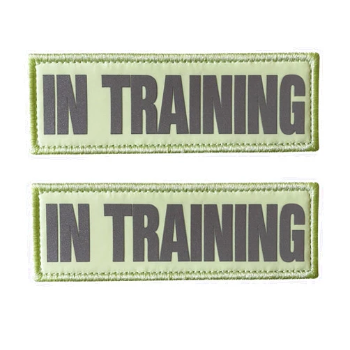 JUJUPUPS 2 Pack Glow in Dark and Reflective Dog Patches，in Training,DO NOT PET, Tags with Hook and Loop Patches for Vests and Harnesses (in TRAINING, light green)