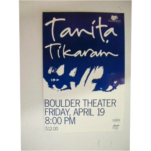 RhythmHound Tanita Tikaram Handbill Poster What a great image