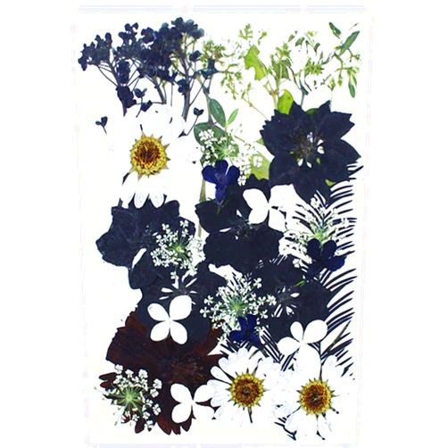 ikasus Ink Black and White Real Dried Flowers Natural Dried Flowers, 30 Piece Dried Pressed Leaf Flowers for DIY Arts and Crafts Candles Resin Jewellery Nail Pendant Cards Scrapbooking Style 11
