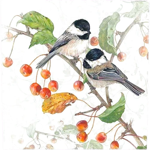 Generic 20-ct 6.5 Couple Bird Napkins for Decoupage Beautiful Bird Paper Napkins Mother's Day Napkins Fall Napkins Decorative for Decoupage All Season Napkins Pretty Father's napkins Chickadee Napkins