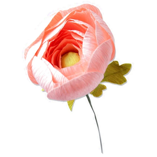 Sizzix Thinlits Die Set 5PK Ranunculus by Olivia Rose, 664925, One Size, Multicolor