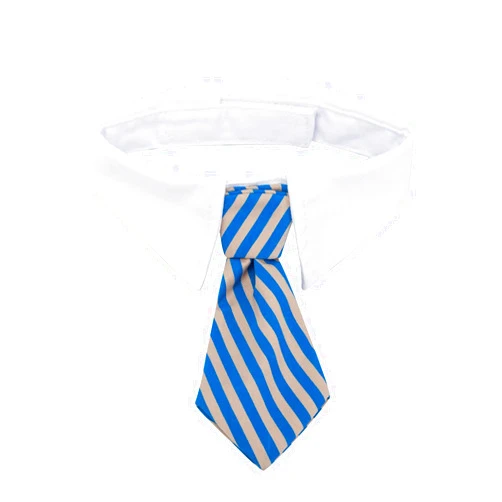 ZTON Pet Bowtie, Handcrafted Adjustable Formal Collar Neck Tie for Dogs & Cats (S, Blue Stripe)