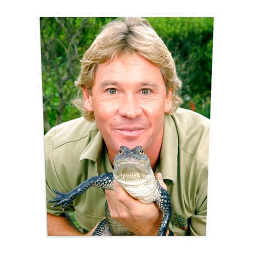 HIUBVCMML Environmental Activist Steve Irwin And Animals Live in Harmony Art Poster (1) Wall Poster Art Canvas Printing Gift Office Bedroom Aesthetic Poster 16x20inch(40x50cm) Unframe-style