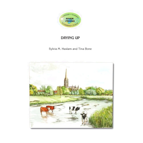 By Sylvia Mary Haslam (Author), Tina Bone (Author, Editor) Drying Up: River Friend Series Book 1