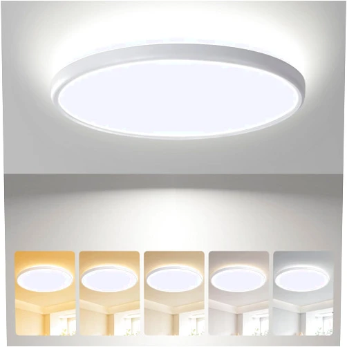 ocioc 18inch Flush Mount Ceiling Light, 36W 3600LM 5CCT Selectable, Dimmable LED Ceiling Light Fixture for Kitchen Bedroom Living Room, Modern Low Profile Style