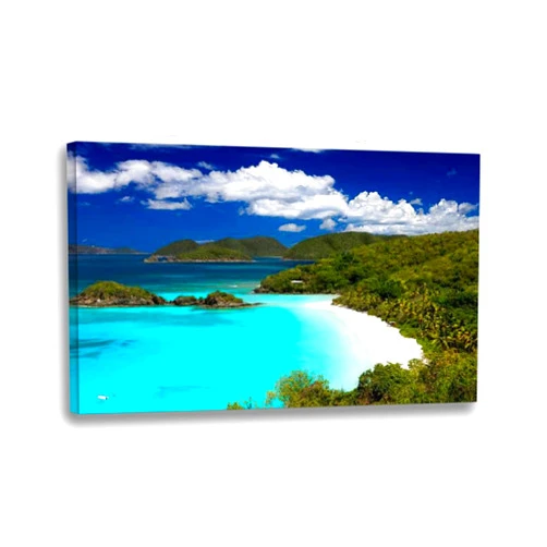 JMDOYSEBSE Wall Art Stretched and Framed Canvas Paintings Pictures Prints Artwork Trunk Bay beach St John US Virgin Islands Ready to Hang for Home Decorations Office Wall Décor