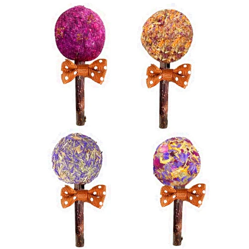 HANCOME 4 Pcs Rabbit Chewable Lollipop Toys, Rabbit Timothy Hay Sticks Interactive Bunny Lollipop Chew Toys Chew Toys for Bunnies Interactive Bunny Toy for Small Pets