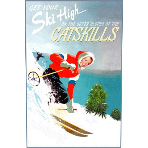 Generic Catskills New York Snow Ski Pot High Mountains Travel Poster Paris Art Print 329(SIZE:20 x 30 inches)